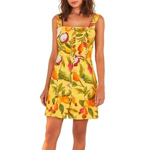 Farm Rio
Fruit Lovers Mini Dress